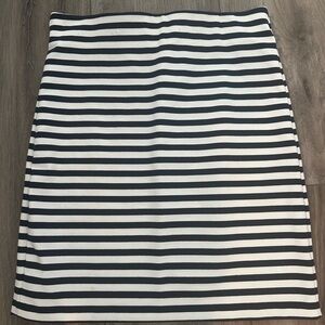 Navy Striped Skirt